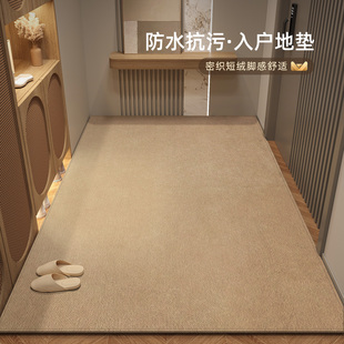 纯色入户门地垫可擦免洗耐脏脚垫高级感玄关进门口可定制防滑地毯