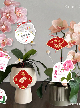 蝴蝶兰异形养护吊牌新年元旦年宵花氛围感装饰挂卡办公室盆栽吊卡
