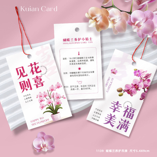 蝴蝶兰吊牌幸福暴富大吉大利年宵花福桶装 饰吊卡蝴蝶兰养护说明卡