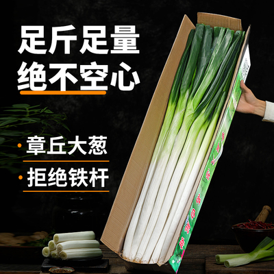 送礼推荐正宗精品章丘大葱发顺丰
