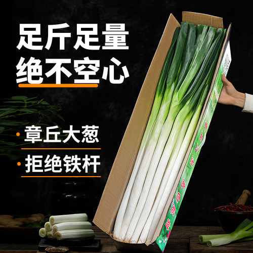 送礼推荐正宗精品章丘大葱发顺丰