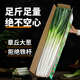 正宗山东章丘大葱特级大葱礼盒新鲜百脉泉王金状元 生吃甜葱水果葱