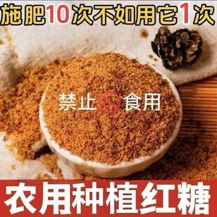 红糖农业种植批发酵素种菜蔬菜专用肥发酵用农用果树状根膨果沤肥