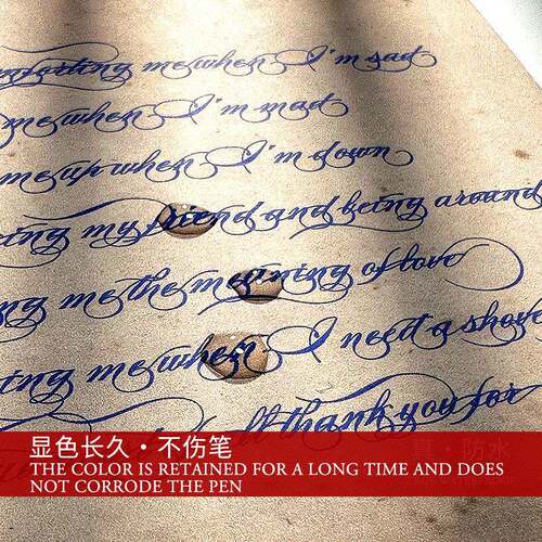 色鲸四墨水碳素彩色墨水BANMI钢笔生蘸水笔学用签字办鱼公