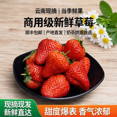 云南现摘新鲜商用草莓5斤当季水果顺丰包邮产地直发奶茶烘焙原料