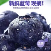 云南蓝莓鲜果优质商品果优瑞卡一颗蓝莓莓孕妇水果一件发顺丰 包邮