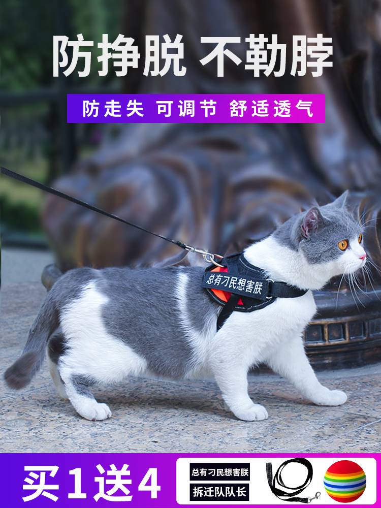 新款缅因猫牵引绳猫咪高颜值防挣脱专用溜猫绳遛猫绳背心式背带项