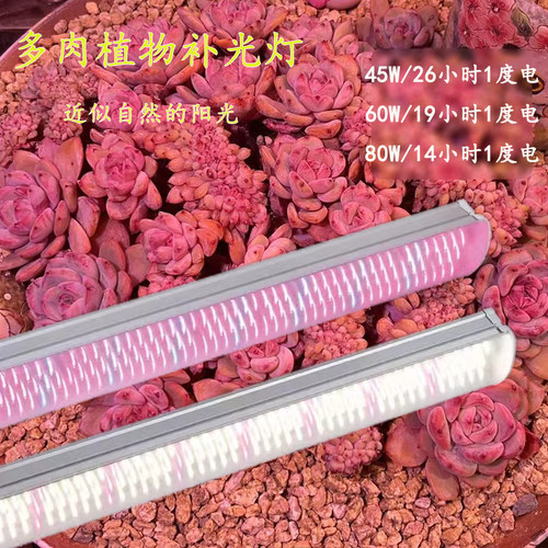 仿太阳光防水LED多肉生长灯