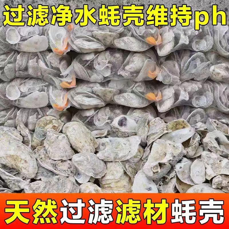 锦鲤鱼池缸蚝壳牡蛎滤材过