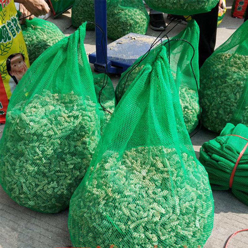 锦鲤鱼池特大过滤网袋珊瑚沙图片