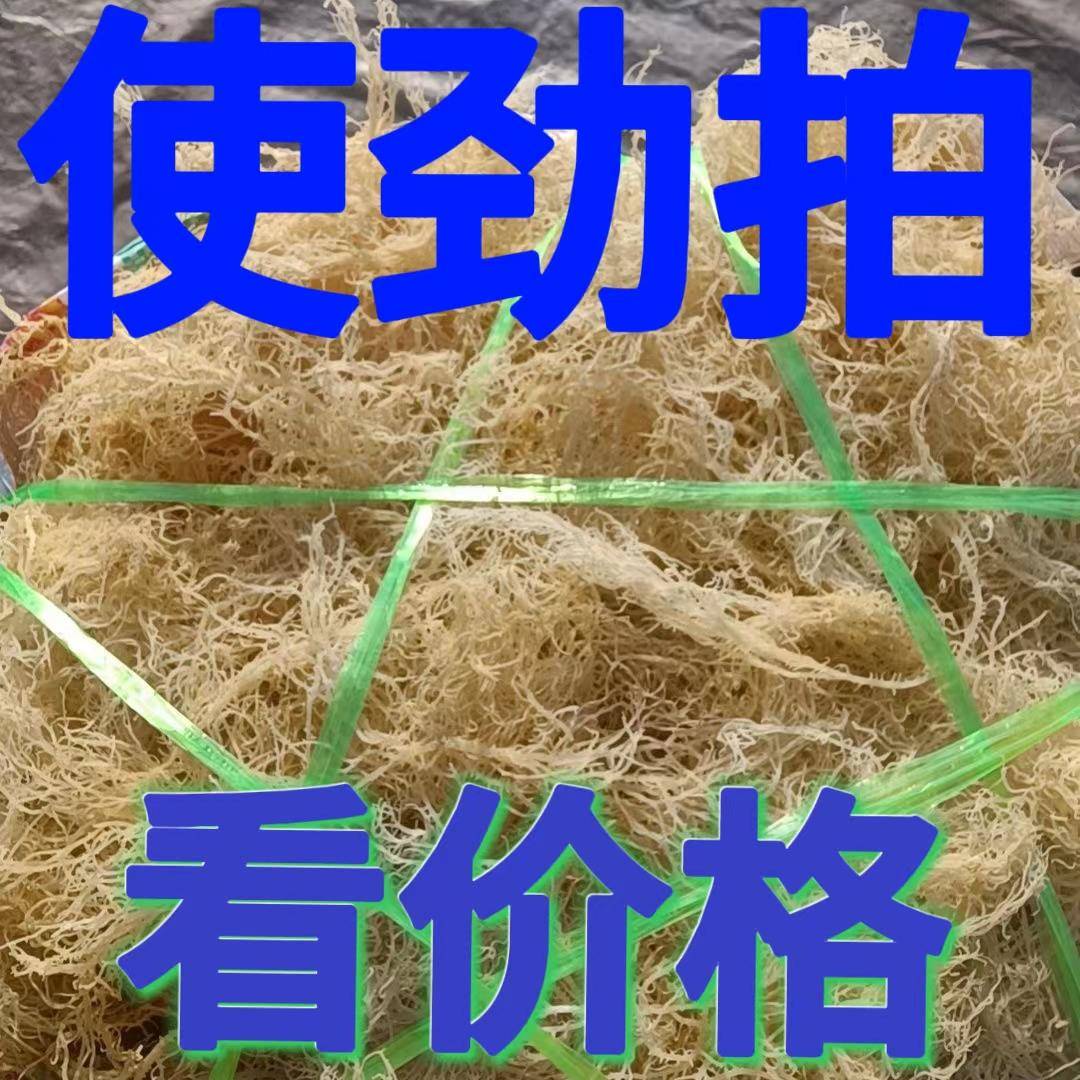 龙须菜干货石花菜凉拌菜鹿角菜海藻裙带菜泡发