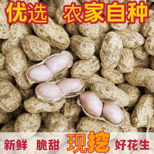 当季新鲜湿花生粉皮红皮小花生