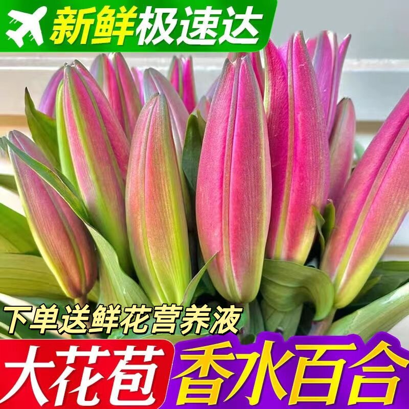云南昆明基地鲜切香水百合鲜花家用办公水培真花混搭大苞浓香花束