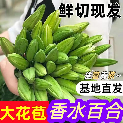 直批鲜切花家用水养插花香水百合