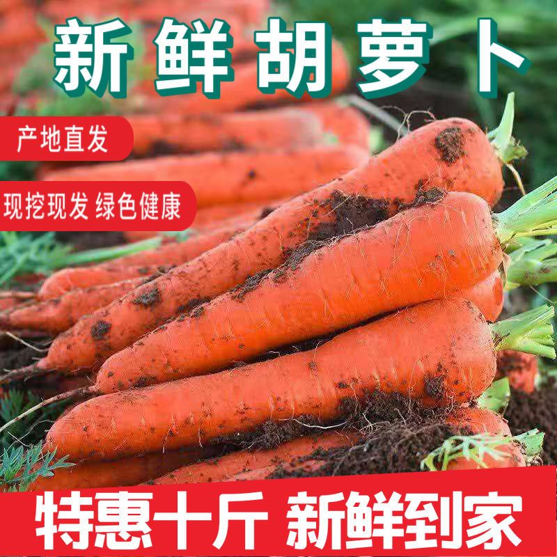 沙地生吃应季蔬菜水果营养现挖