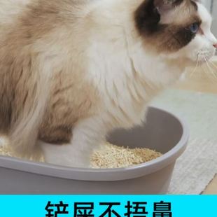 包邮 猫殿下豆腐猫砂除臭无尘猫沙吸水豆腐砂结团冲厕所小壳 10公斤