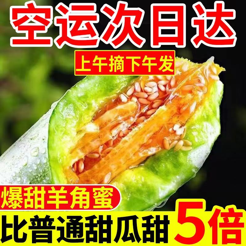 【爆甜】羊角蜜甜瓜现摘新鲜应季水果脆甜蜜头茬蜜瓜香瓜整箱批发