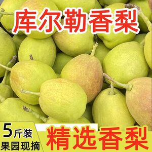新疆库尔勒香梨水果新鲜应季大果脆甜梨子孕妇当季整箱精选包邮