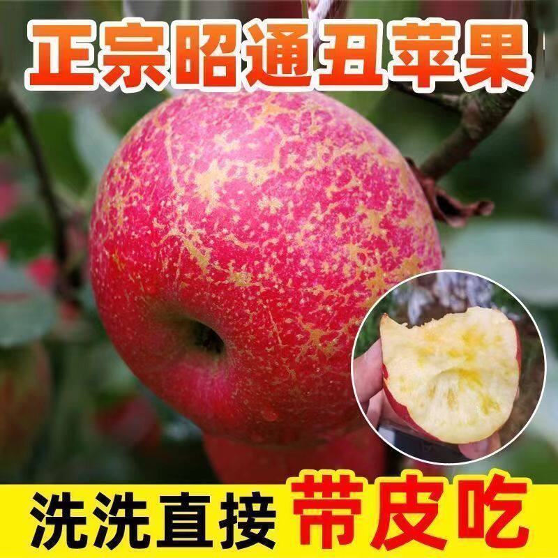 云南昭通正宗冰糖心丑苹果新鲜水果甜脆应季红苹果现摘5/3斤整箱