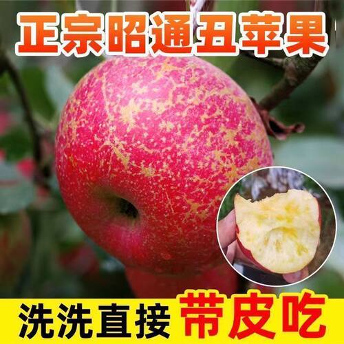 云南昭通正宗冰糖心丑苹果新鲜水果甜脆应季红苹果现摘5/3斤整箱