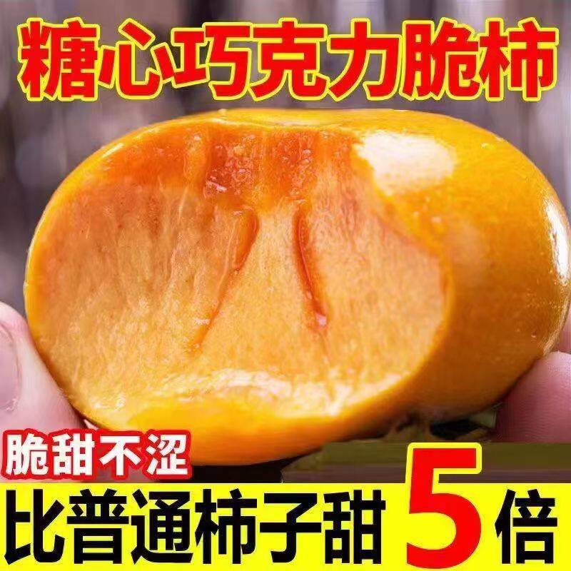 山西巧克力脆甜柿子新鲜水果大火晶黄香甜硬脆皮柿当应季整箱包邮