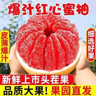 正宗梅州红心蜜柚三红柚红肉柚子当季孕妇水果新鲜现摘