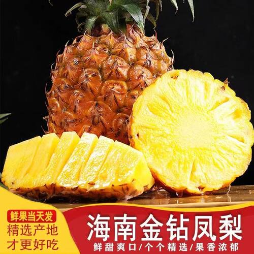 海南金钻凤梨当季正宗香水菠萝手撕芒果菠萝无眼特产新鲜水果整箱