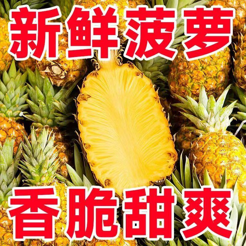 广东湛江徐闻菠萝新鲜现摘现发水果新鲜当季应季香水小菠萝去味