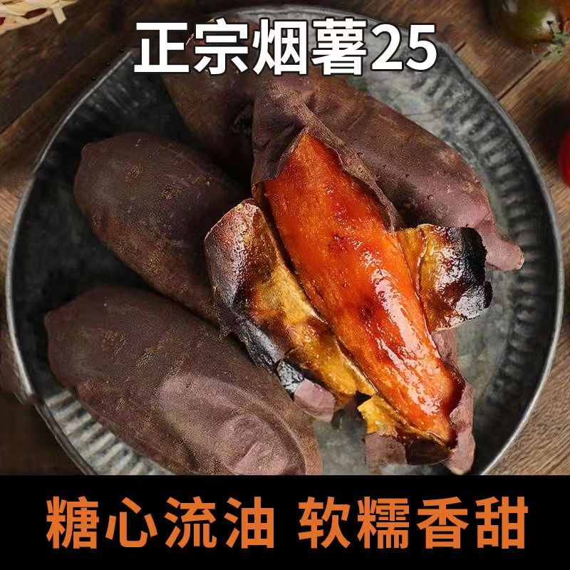 烟薯25号沙地蜜薯糖心红薯小新鲜红皮心烟台农科院烤山芋专用番薯