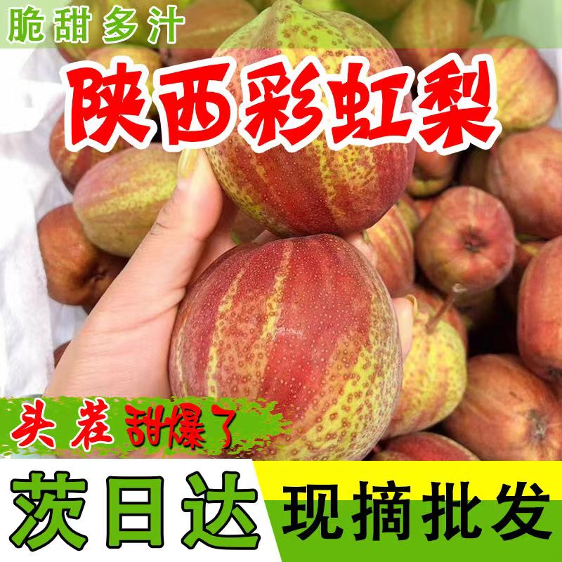 陕西彩虹梨梨子新鲜水果当季红皮梨甜早酥梨整箱包邮各地