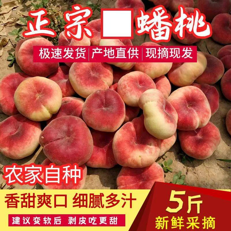 5斤山西王母毛蟠桃新鲜水果扁蜜桃传统口感自然熟香甜脆特价