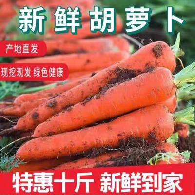陕西现挖现挖胡萝卜新鲜农家自种水果胡萝卜带泥生吃脆甜包邮