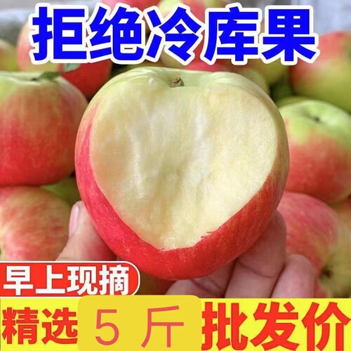 正宗嘎啦苹果5斤新鲜水果应当季现摘红富士甜脆冰糖心丑平果整箱
