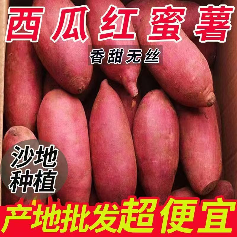 正宗西瓜红蜜薯糖心红薯地瓜新鲜沙地番薯9斤农家甜糯山芋板栗
