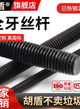 胡盾高强度丝杆螺杆牙条8.8/10.9/12.9螺纹全牙丝杠M12M16M20-M64