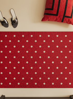 大门口进门红色脚垫玄关入户门地垫丝圈刮泥耐磨耐脏毯防滑可裁剪