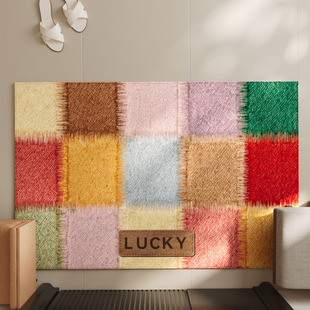 玄关大门口入户门地垫彩色格子家用耐脏进门脚垫防滑除尘耐磨地毯