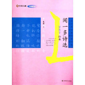 正版汉字书写大典中国现代诗闻一多诗选繁体字行书朱涛书写