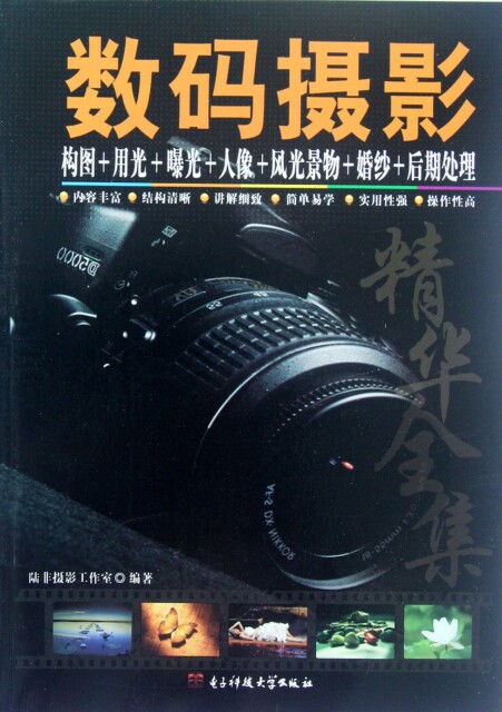 正版数码摄影构图+用光+曝光+人像+风光景物+婚纱+后期处理精华全集陆非摄影工作室编属于什么档次？