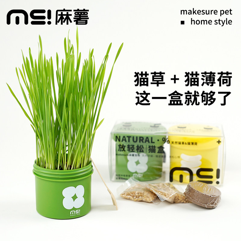 麻薯猫草盆栽小麦种子水培化毛懒人种植套装可食用猫薄荷猫咪零食