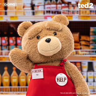 2可动毛绒玩偶30CM 可替换表情可动骨架 Ted2泰迪熊1 共鸣GONG