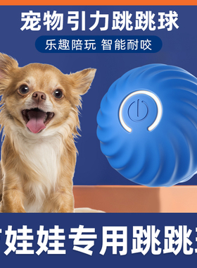 吉娃娃犬用智能自动遛狗球逗狗狗玩具球互动自嗨解闷宠物犬小狗