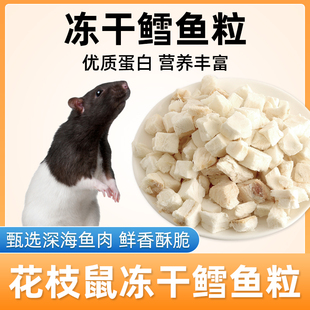 花枝鼠专用冻干鳕鱼粒宠物通用营养冻干零食仓鼠刺猬小宠互动奖励