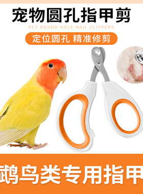 鹦鹉鸟类专用指甲剪套装指甲刀修剪指甲钳磨甲器虎皮玄凤牡丹用品