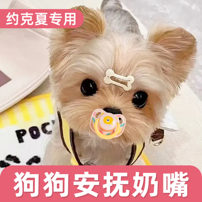 约克夏幼犬犬用奶嘴睡觉安抚小狗狗宠物玩具磨牙生活用品断奶耐咬