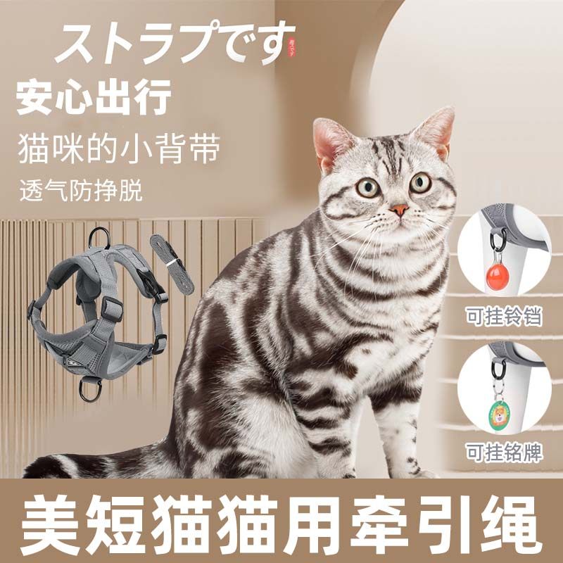 美短猫猫用宠物猫咪牵引绳背心式胸背带外出溜猫绳猫链子防挣脱,宠物/宠物食品及用品,猫牵引绳,淘宝优惠券,粉丝福利购,淘宝优惠卷