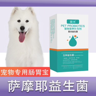 萨摩耶专用益生菌宠物狗狗用幼犬成犬老犬肠胃宝高活性营养补充剂