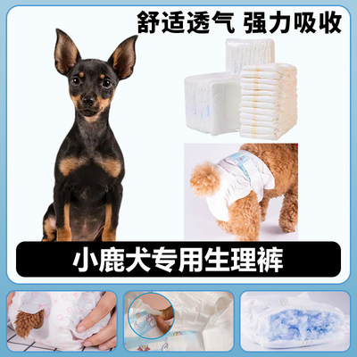 小鹿犬专用生理纸尿裤尿不湿