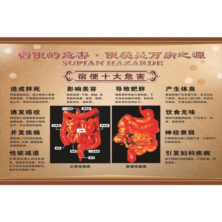 宿便的危害便秘是万病之源海报展板排肠毒宿便的危害墙贴墙纸kt板