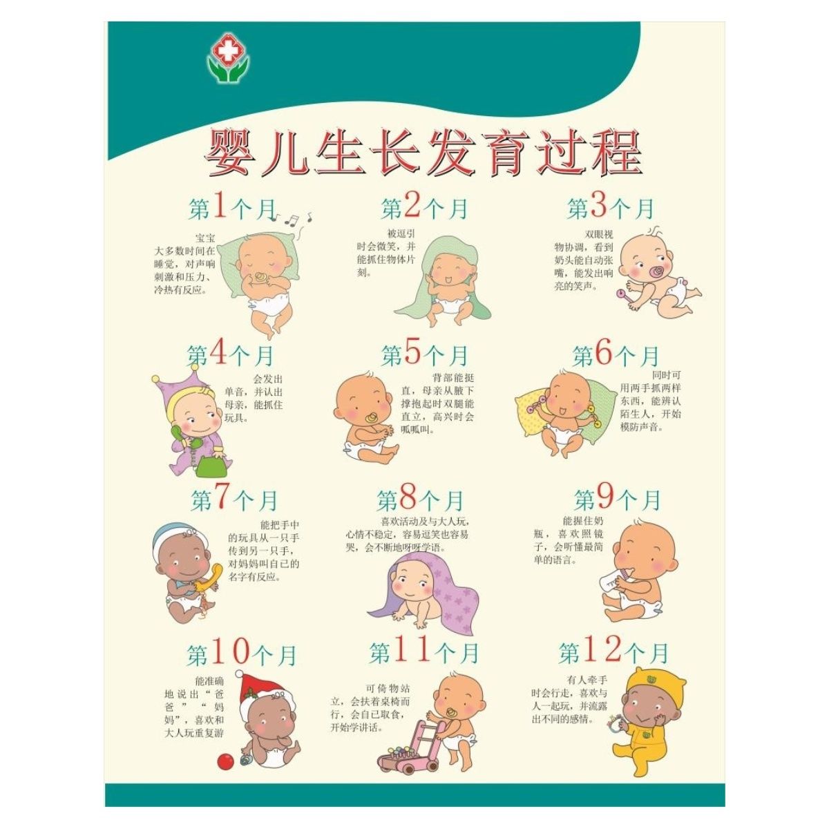 医院妇产科胎儿发育全过程图海报婴儿生长发育过程示意图墙贴纸